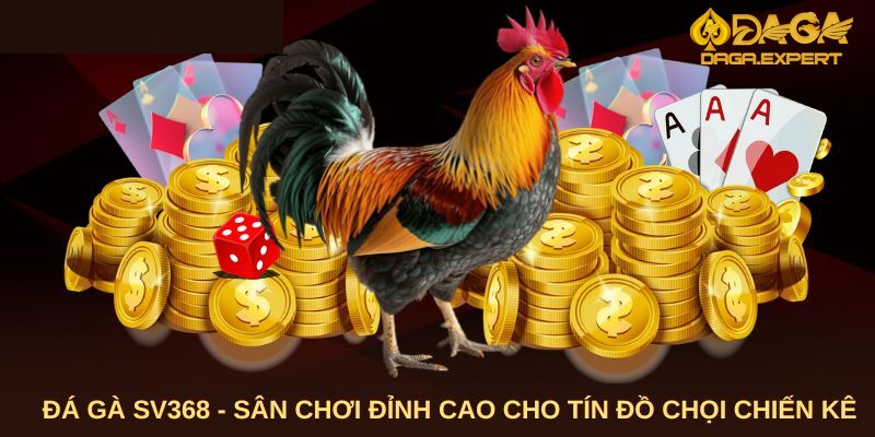 Sảnh đá gà SV388 - điểm dừng chân lý tưởng